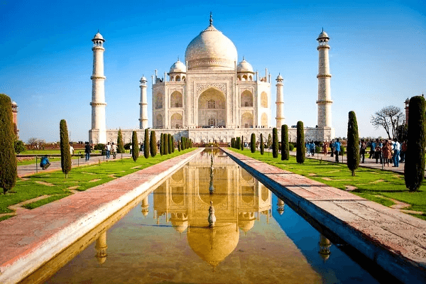 Golden Triangle Delight